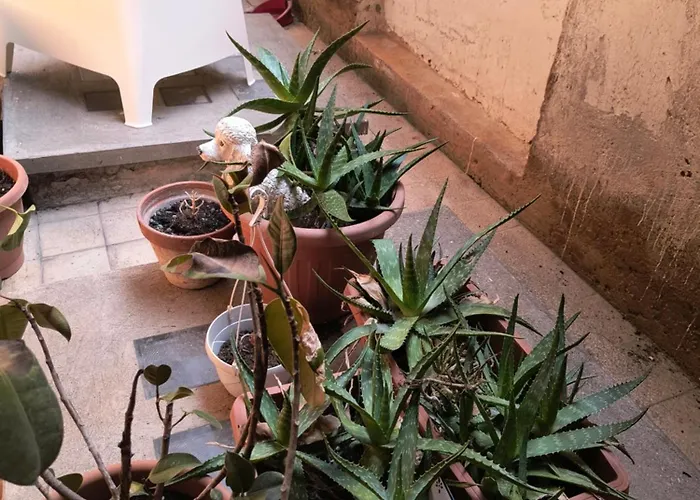 Casa Per Gente Giovane